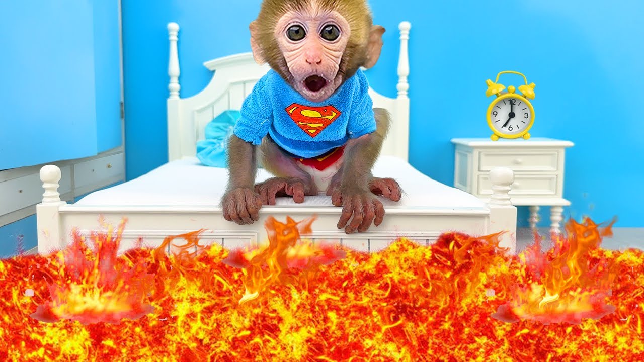 Monkey Baby Bon Bon Bathing In The Bathroom With Eating Ice Cream With Puppy Side Swimming Pool img